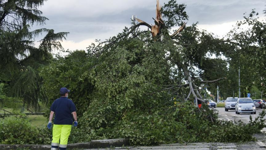 Incendies Sous Contrôle En Grèce, Violents Orages En Italie - Le ...